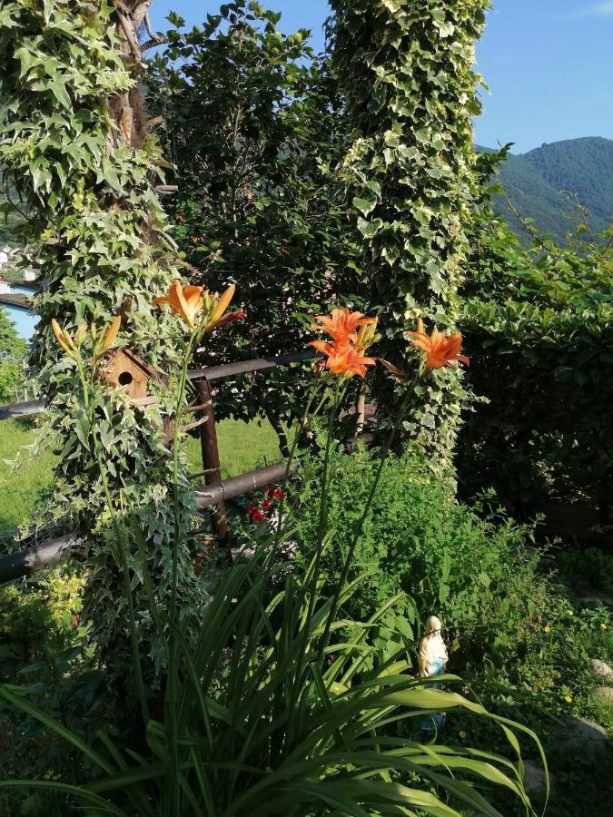 Le Palme 호텔 리베라 외부 사진